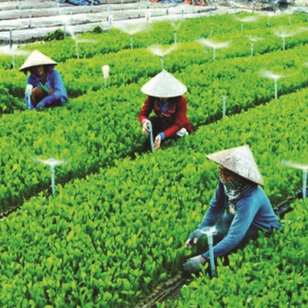 Đăng Ký Thành Lập Hợp Tác Xã